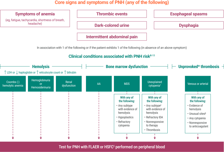 Core signs and symptoms of PNH