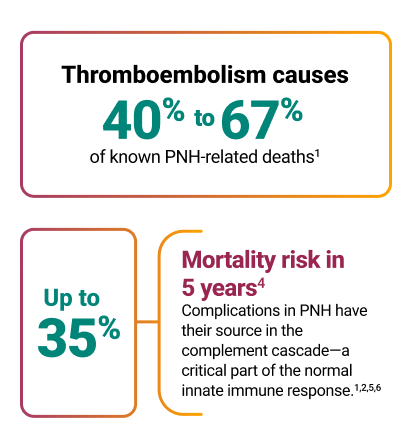 Mortality risk graph