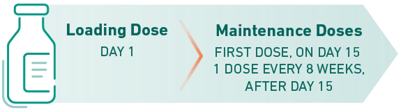 ULTOMIRIS IV 100 mg/mL weight-based dosing. Loading Dose at Day 1. First Maintenance Dose at Day 15. Subsequent Maintenance Dose after Day 15, 1 dose every 8 weeks.