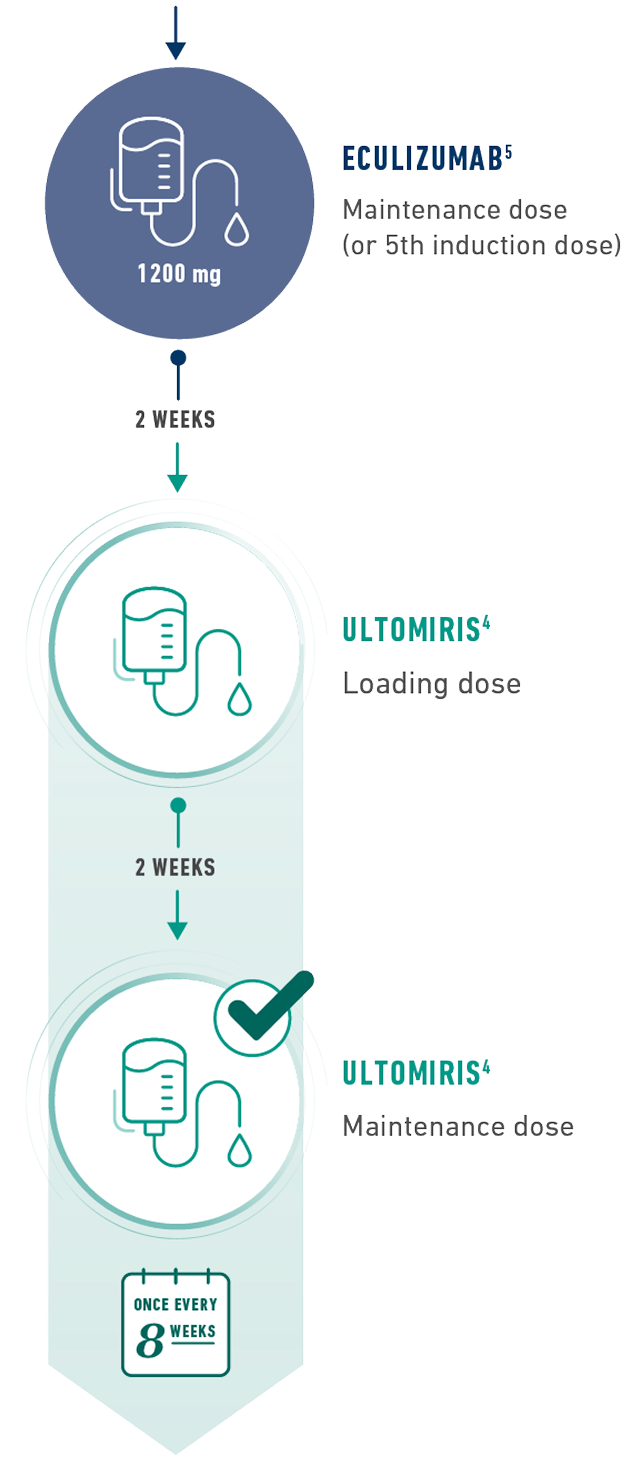 Graphic for patients transitioning from eculizumab to ULTOMIRIS, initiate ULTOMIRIS loading dose 2 weeks after the last eculizumab