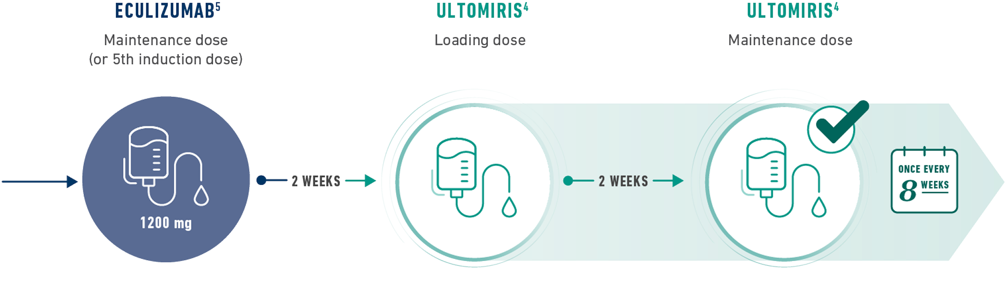 Graphic for patients transitioning from eculizumab to ULTOMIRIS, initiate ULTOMIRIS loading dose 2 weeks after the last eculizumab