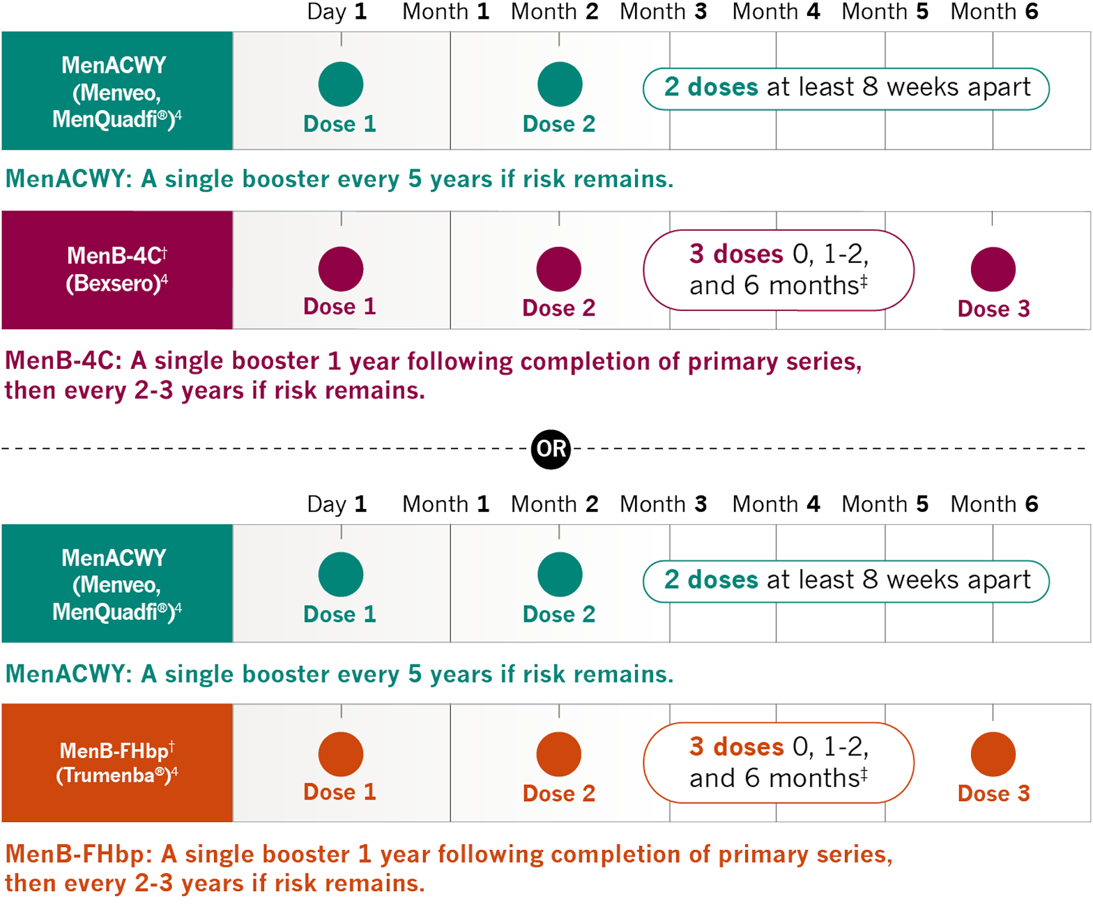 The primary MenACWY vaccine is 2 doses at least 8 weeks apart, with 1 dose every 5 years, if risk remains. The primary MenB-4C vaccine is 3 doses 0,1-2, and 6 months apart, if risk remains. The primary MenB-FHbp vaccine is 3 doses 0, 1-2, and 6 months apart, with 1 dose 1 year following completion of primary series and every 2 to 3 years thereafter, if risk remains.