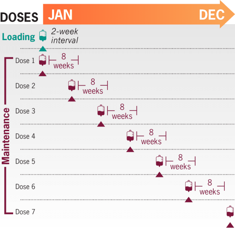 schematic showing dosing timeline for ULTOMIRIS